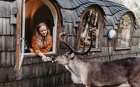 Igluhut – Sleep with reindeer